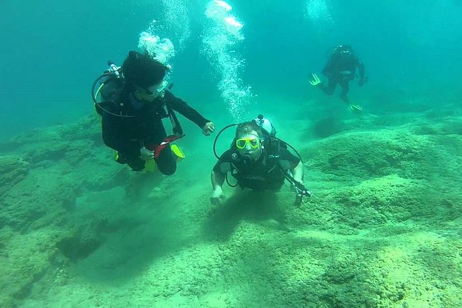 Scuba Diving from Dalyan - The Underwater Session: Fish, Octopus, and a Chance at Dolphins