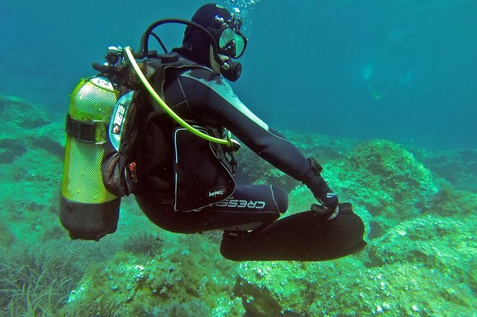 Scuba Diving from Dalyan - Should You Book This Dalyan-to-Aegean Underwater Experience?