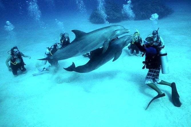 Scuba Diving Full Day Boat Trip for beginners With Lunch & Transfer – Hurghada - Lunch on Board: The Simple Comfort That Changes the Mood