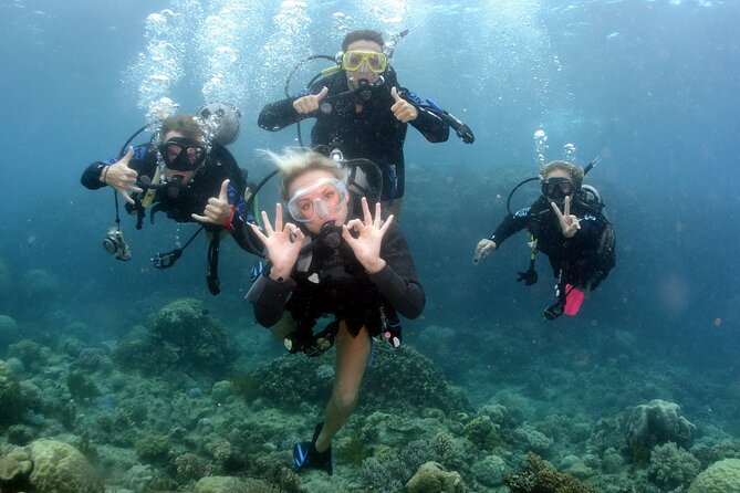 Scuba Diving in Antalya from Antalya & Kemer - Gear, Lunch, and Comfort on the Boat