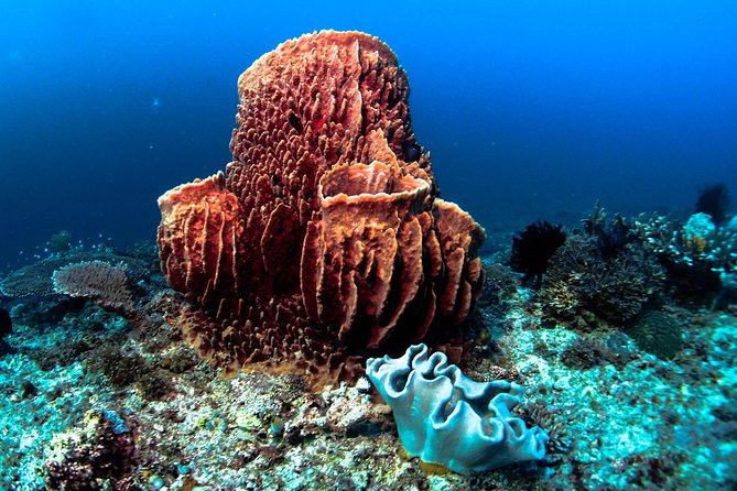 Scuba Diving in Boracay: SSI Basic Diver for Beginners - Gear Fitting and the Moment You Breathe Through a Regulator