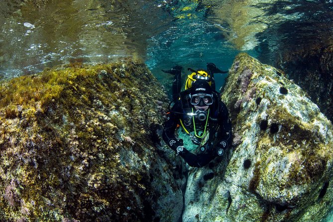 Scuba diving in Calabria, Italy - The underwater sites you might encounter along the Ionian and beyond