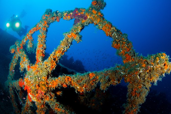 Scuba diving in Calabria, Italy - How skill level and interests shape what you do underwater