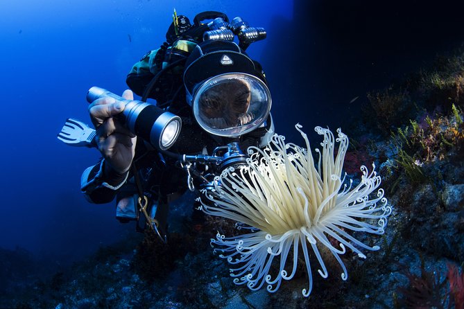 Scuba diving in Calabria, Italy - Safety and the health questionnaire you must complete
