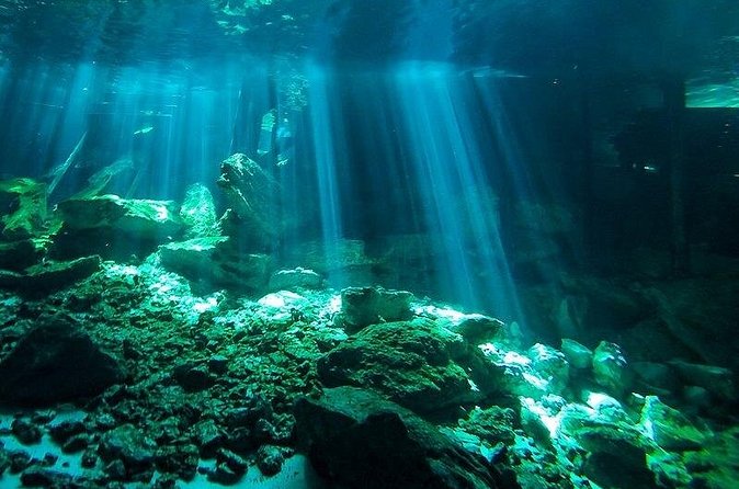 Scuba Diving in Cenote Dos Ojos from Playa del Carmen - Price and value: what you pay for, and what you don’t