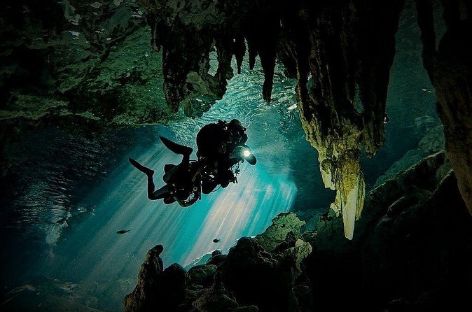 Scuba Diving in Cenote Dos Ojos from Playa del Carmen - Who should book (and who should wait)