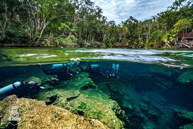 Scuba Diving in Cenotes - Why Cenotes Near Playa Feel Different Underwater