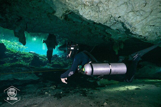 Scuba Diving in Cenotes - Two Underwater Sessions, One Long Break: How the Day Flows