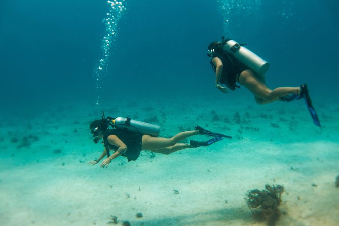 Scuba Diving in Cozumel Island - Boat comfort, the minimum 1-hour break, and how to use it well