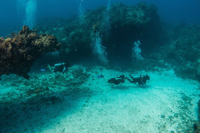 Scuba Diving in Cozumel Island - Ferry freedom: extending your Cozumel time without locking yourself in
