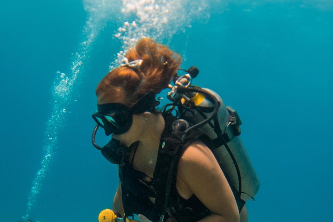 Scuba Diving in Cozumel Island - Should you book this Cozumel reef day?