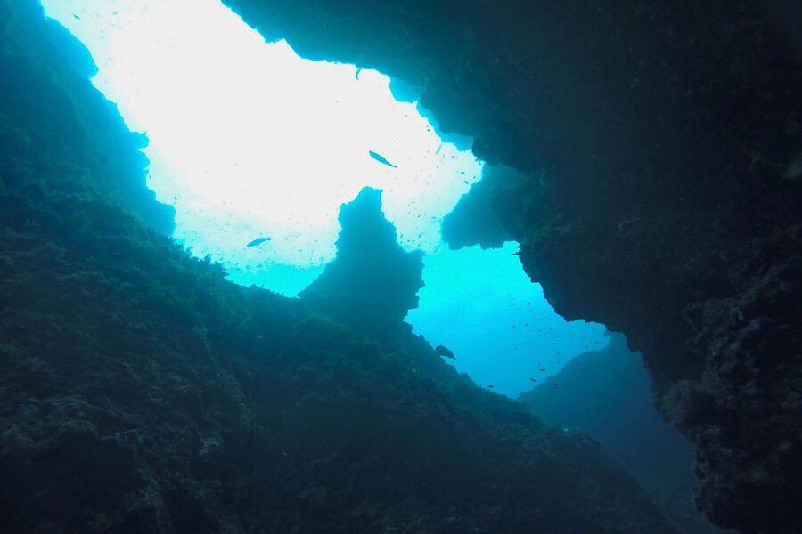 Scuba Diving in Dubrovnik: 1 Dive for Certified Divers - Meeting Blue Planet at Dubrovnik Palace