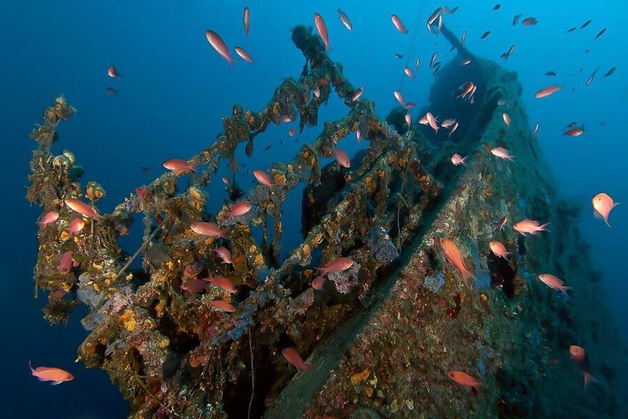 Scuba Diving in Dubrovnik: 1 Dive for Certified Divers - How the 12 sites work: reefs, caves, caverns, and wrecks