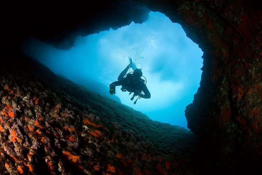 Scuba Diving in Dubrovnik: 1 Dive for Certified Divers - Bezdan near Kolocep: shallows and sheer drops