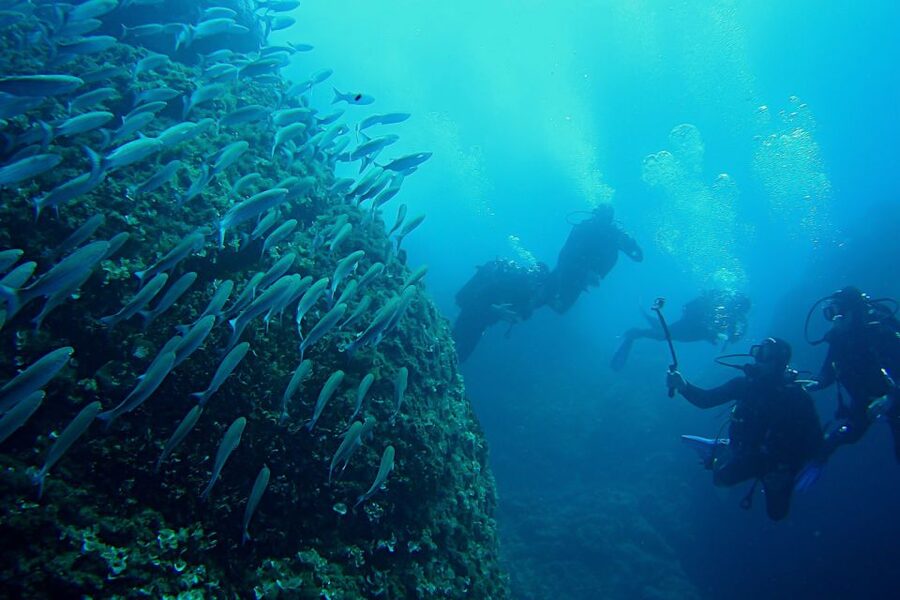 Scuba Diving in Dubrovnik: 1 Dive for Certified Divers - Caves and caverns: when the underwater scenery gets more dramatic