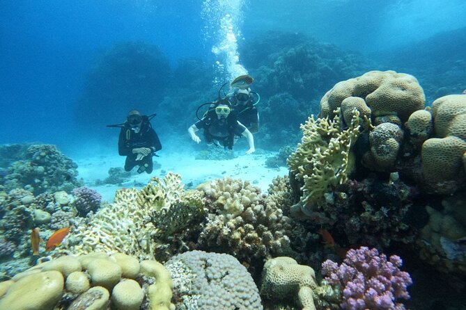 Scuba Diving in Hurghada _ 2 Stops Dive With Equipments & Lunch - Key Highlights I’d Focus On