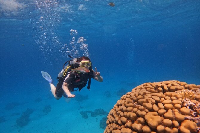 Scuba Diving in Hurghada _ 2 Stops Dive With Equipments & Lunch - Hurghada Red Sea Day Tour, in Plain Terms
