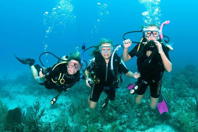 Scuba Diving in Hurghada _ 2 Stops Dive With Equipments & Lunch - Two Underwater Sessions in Different Locations