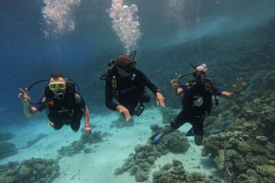 Scuba Diving in Hurghada _ 2 Stops Dive With Equipments & Lunch - Pickup and the Boat Ride: Where Your Day Starts