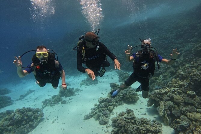 Scuba Diving in Hurghada _ 2 Stops Dive With Equipments & Lunch - Lunch, Soft Drinks, and the Midday Reset
