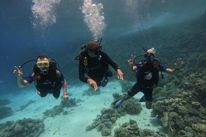 Scuba Diving in Hurghada _ 2 Stops Dive With Equipments & Lunch - Pickup and the Boat Ride: Where Your Day Starts