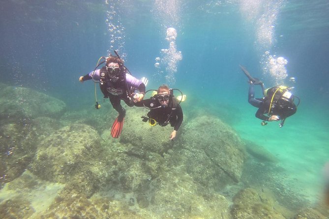 Scuba Diving in La Maddalena & Lavezzi Park for certified divers. - Your Morning Start in Porto Pollo (8:00 AM)