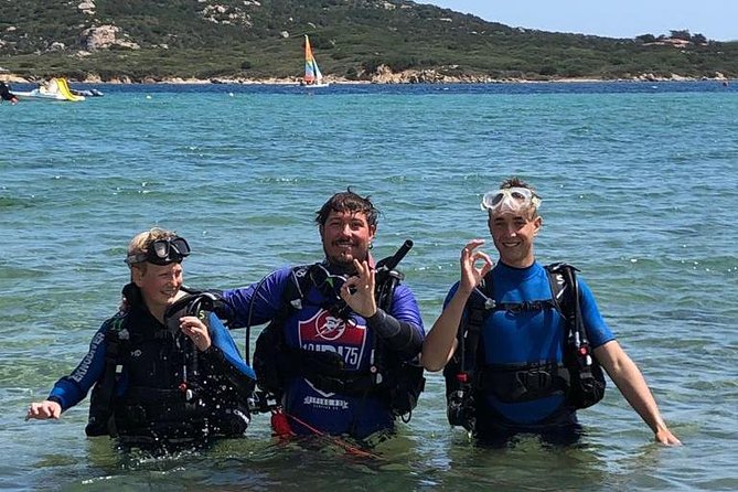 Scuba Diving in La Maddalena & Lavezzi Park for certified divers. - What It’s Like Underwater: Wrecks, Wildlife, and Photo Moments