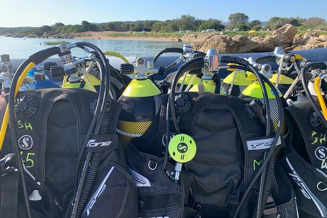 Scuba Diving in La Maddalena & Lavezzi Park for certified divers. - Facilities on Site: Beach Time, Bar Access, and a Couple Limitations