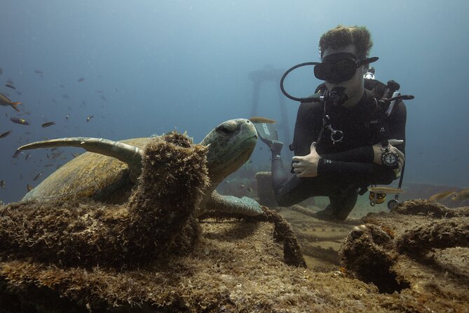 Scuba Diving in La Paz Private Trip - Isla Espíritu Santo Beach Picnic: The Part People Remember Later