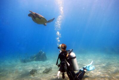 Scuba Diving in Maui with No Experience Needed - Meet at the Lahaina waterfront base and get geared up