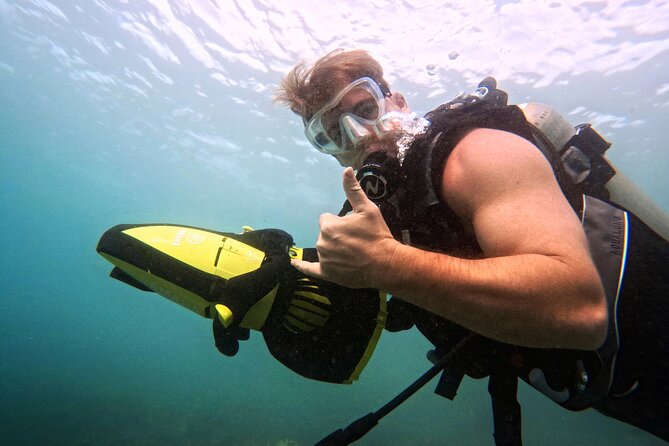 Scuba Diving in Maui with No Experience Needed - West Maui reef time: what you’ll look for under the surface