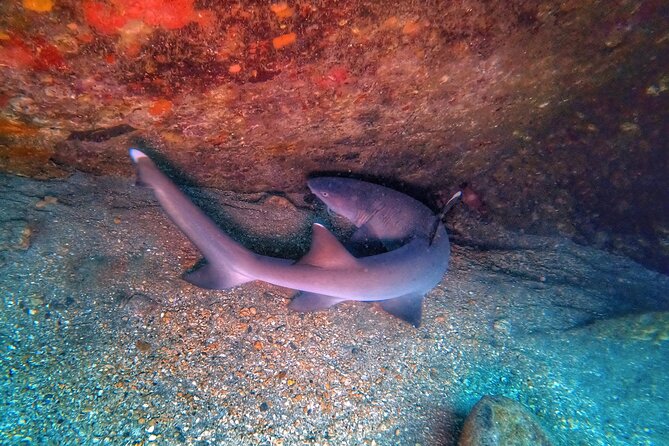 Scuba Diving in Maui with No Experience Needed - The 1000 ft rule after your session (and why it changes your day)