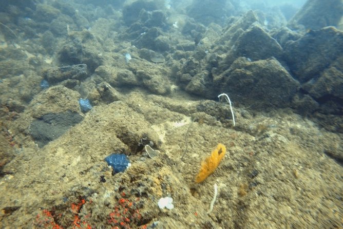 Scuba Diving in Mirissa - Your 3-hour scuba session: timing, meeting point, and how it runs