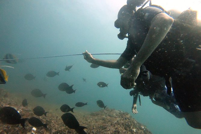 Scuba Diving in Mirissa - The team factor: what top-rated instruction should feel like