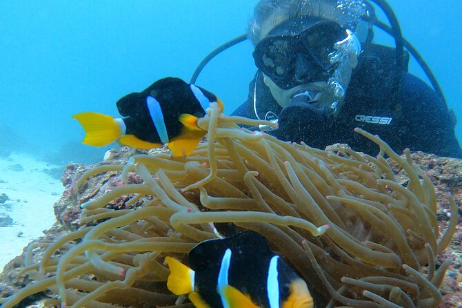 Scuba Diving in muscat - Key things to know before you go