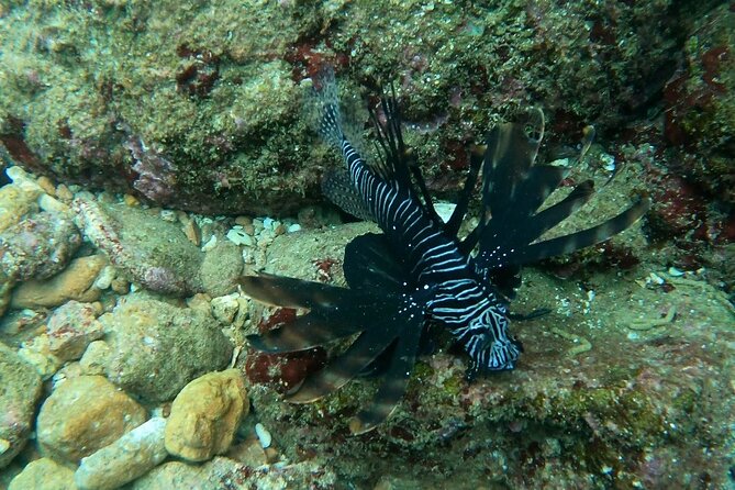 Scuba Diving in muscat - Boat ride to reef areas: the schedule that keeps you calm