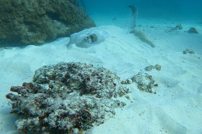 Scuba Diving in muscat - Al Seeb Port at 8:00 AM: getting started without stress