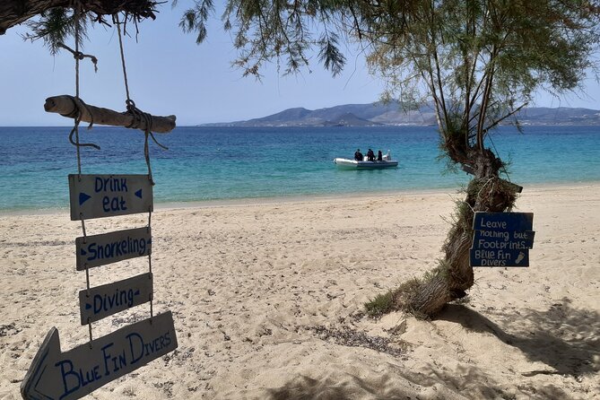 Scuba Diving in Naxos by Bluefindivers - Dive in Greece - Amazing Diving Spots - The guided underwater time: up to 7 meters