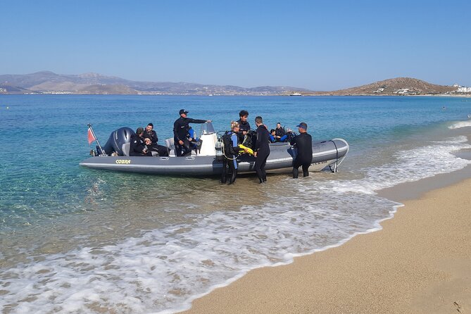 Scuba Diving in Naxos by Bluefindivers - Dive in Greece - Amazing Diving Spots - What you’ll see on the reef near Agios Prokopios