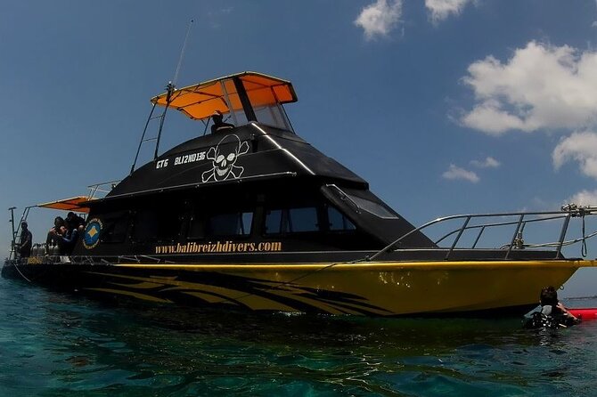 Scuba Diving in Nusa Penida Island and Manta Point - Quick points to know before you go