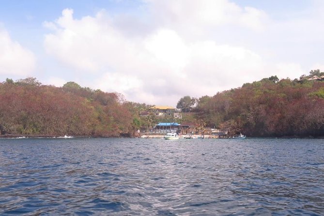 Scuba diving in PADANG BAY BALI - Scuba Sessions in Padang Bay: what makes this Bali day work