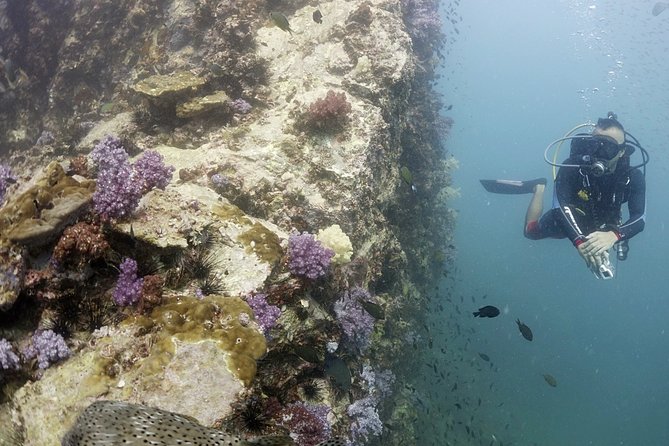 Scuba Diving in Phuket – Full-Day Trip (3 Dives, All Included) - A Phuket 3-Session Scuba Day that mixes logistics and variety