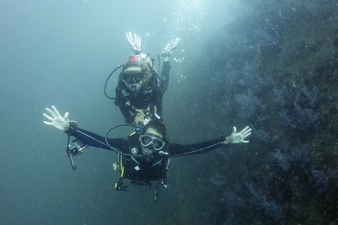 Scuba Diving in Phuket – Full-Day Trip (3 Dives, All Included) - Phi Phi Island session: what you get, plus the park fee