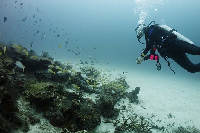 Scuba Diving in Phuket – Full-Day Trip (3 Dives, All Included) - Value math: what $179.24 includes, and what to budget for