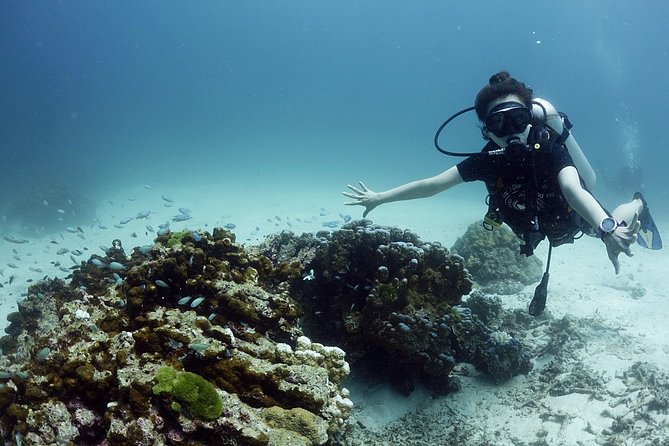 Scuba Diving in Phuket – Full-Day Trip (3 Dives, All Included) - Who this trip fits best in Phuket