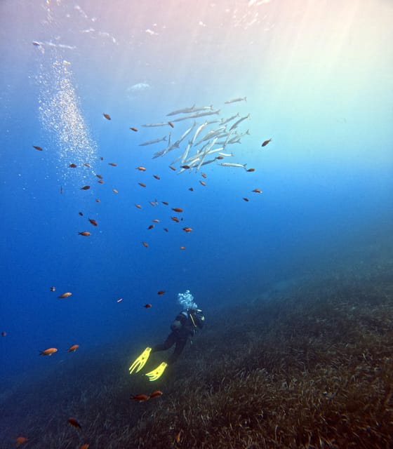 Scuba Diving in the Volcanic Caldera/shorelines of Santorini - What You’ll See: Lava Caverns, Reefs, Walls, and Posidonia Meadows