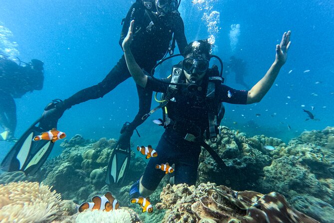 Scuba Diving in Tribe Gate - Key highlights I’d plan around