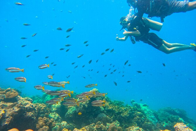 Scuba Diving in Tribe Gate - The boat ride to Tribe Gate and the underwater time plan