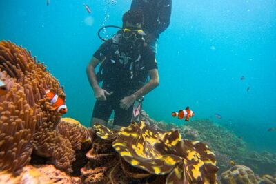 Scuba Diving in Tribe Gate - Shallow-water practice at Govind Nagar: where you gain confidence