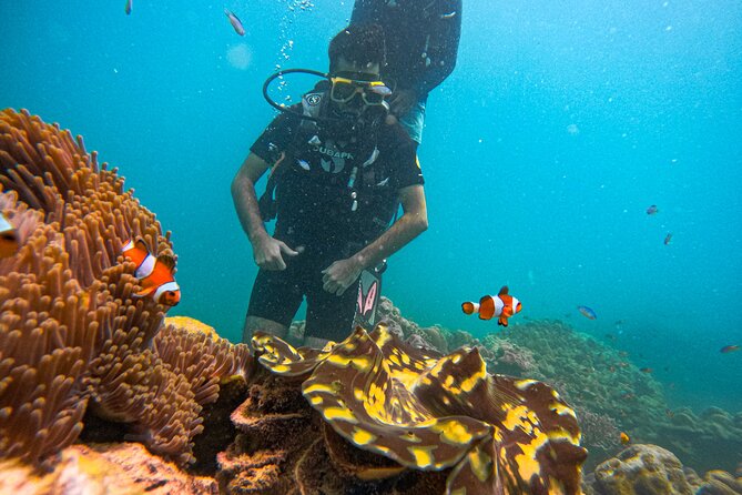 Scuba Diving in Tribe Gate - Shallow-water practice at Govind Nagar: where you gain confidence
